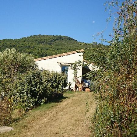 Maison De Campagne L'Etang Seillans Exterior photo
